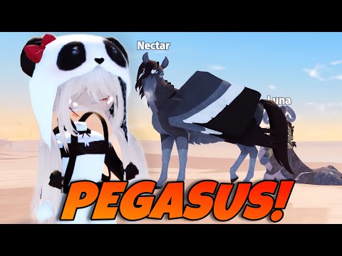 Pegasus & Equus! | HORSE LIFE