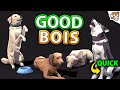Cinti Dog Pack Features and Details