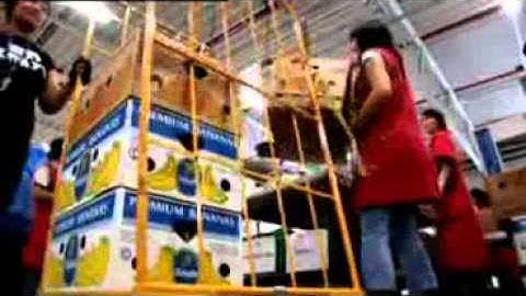 FIEGE returns management (engl)