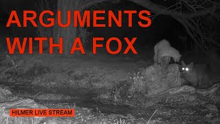 Hilmer Livestream: 21-05-09 Milton argues with fox (Stone marten/Steinmarder/Husmår)