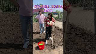 These two couples are here again. Fortunately, I learned to be smart.#3