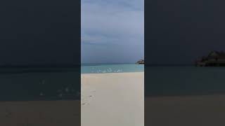 Maldives Beach 4K Walk Paradise On Earth