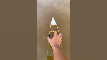 Thử làm ghe bo bo Thái gắn đuôi cây điên điển và cái kết #shortvideo #trochoituoitho #boat #music