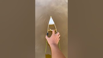 Thử làm ghe bo bo Thái gắn đuôi cây điên điển và cái kết #shortvideo #trochoituoitho #boat #music