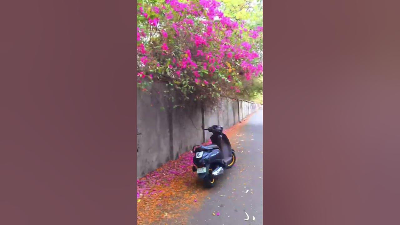 i-love-you-my-cutie-pie-viral-youtubeshorts-shortvideo