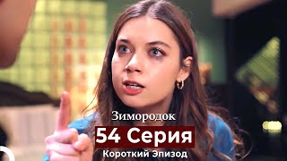 картинка: Зимородок 54 Cерия (Короткий Эпизод) (Русский дубляж)