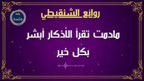 ما دمت تقرأ الأذكار أبشر بكل خير . الشيخ / محمد المختار الشنقيطي حفظه الله