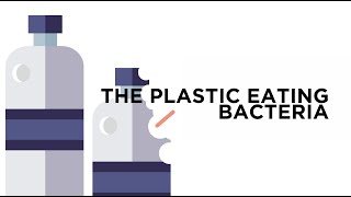 The Plastic Eating Bacteria