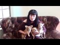 Remember Me Thursday 2016 Spokesperson - Pauley Perrette