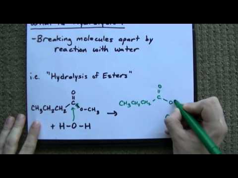 What is Hydrolysis? + Examples