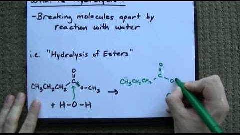 What is Hydrolysis? + Examples