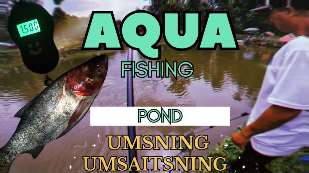 3NGUT KI YOUTUBER (MEGH VBLOG,SAP NONGKHWAI BD MR DON)IA POI KHWAI HA AQUA FISHING POND UMSAITSNING🎣