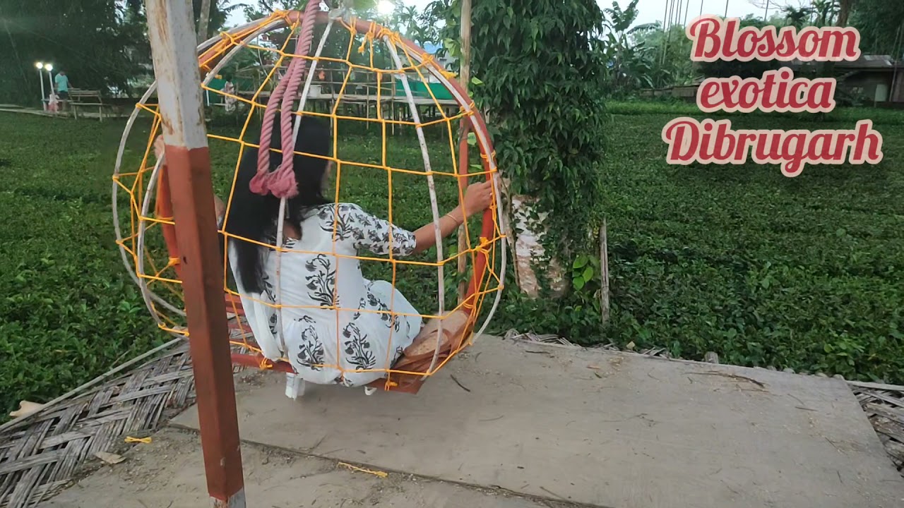 Blossom exotica 🌺🌸Dibrugarh YouTube