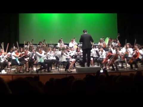 Daniela Faria. CCM