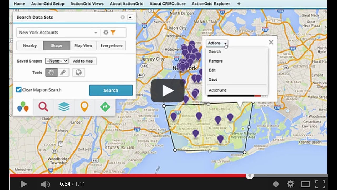 ActionGrid Feature - Geopointe Integration