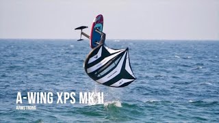 Armstrong XPS MKII Wing Test 2026 ( english translated review )