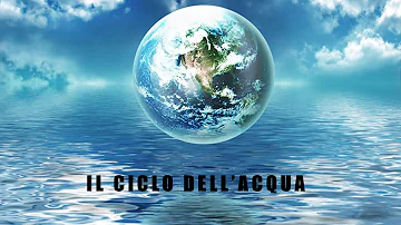 Come è distribuita l'acqua sulla Terra?