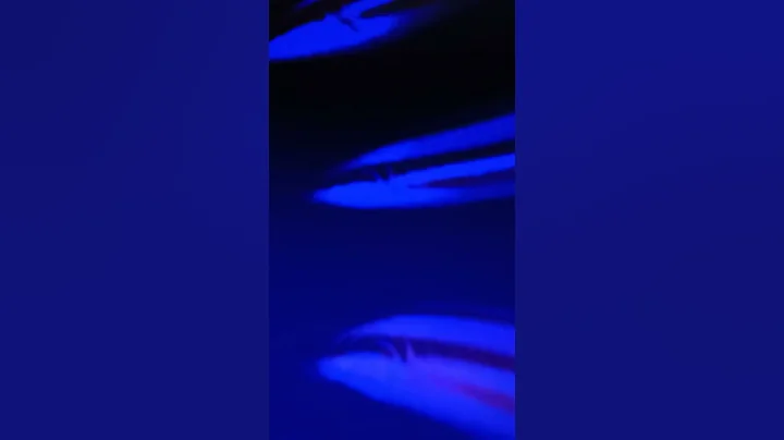 创作人上传最新视觉艺术「扬升濑鱼--弦外之音.avs」免费宣传视频，建议售价 TWD：1,400.- - 天天要闻