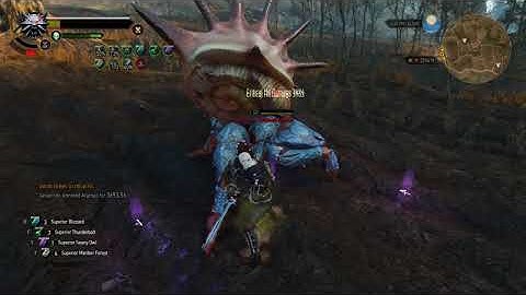 Witcher 3 - Ghost Mode - Cat build vs Arachas