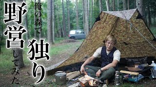 【野営】俺の森でソロキャンプ：タープ泊で自然を感じ焚き火でステーキを焼く　                      Overnight solo camp in a beautiful forest