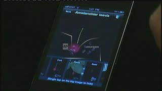 Phone app identifies tree species