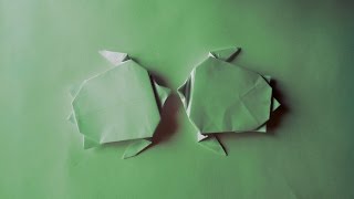 Черепаха из бумаги – оригами для начинающих (Sea Turtle Origami)