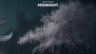 Lost Coconut - Midnight (Official Audio)