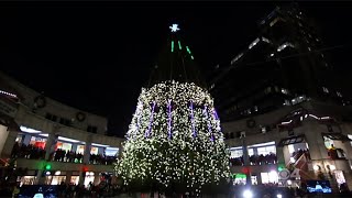 Flashback: 2017 Faneuil Hall Holiday Spectacular Tree Lighting