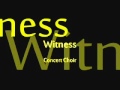 Witness