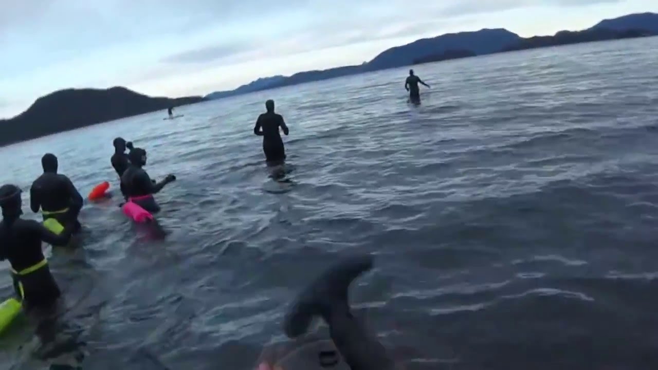 New Wave Swim Buoy in Sitka, Alaska @ Halibut Point Recreation Area. Swim on 2016-03-20