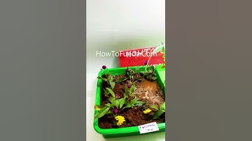 innovative agriculture working model with well and pumping water - #shorts | howtofunda