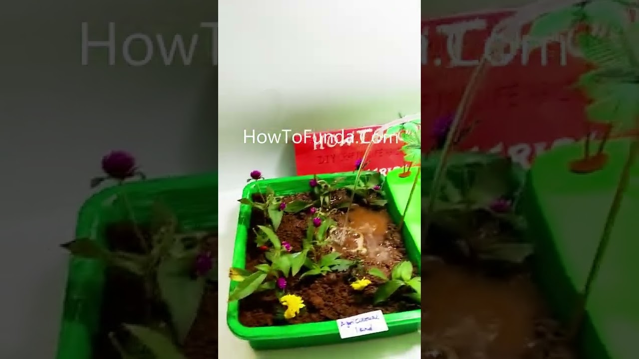 innovative agriculture working model with well and pumping water - 