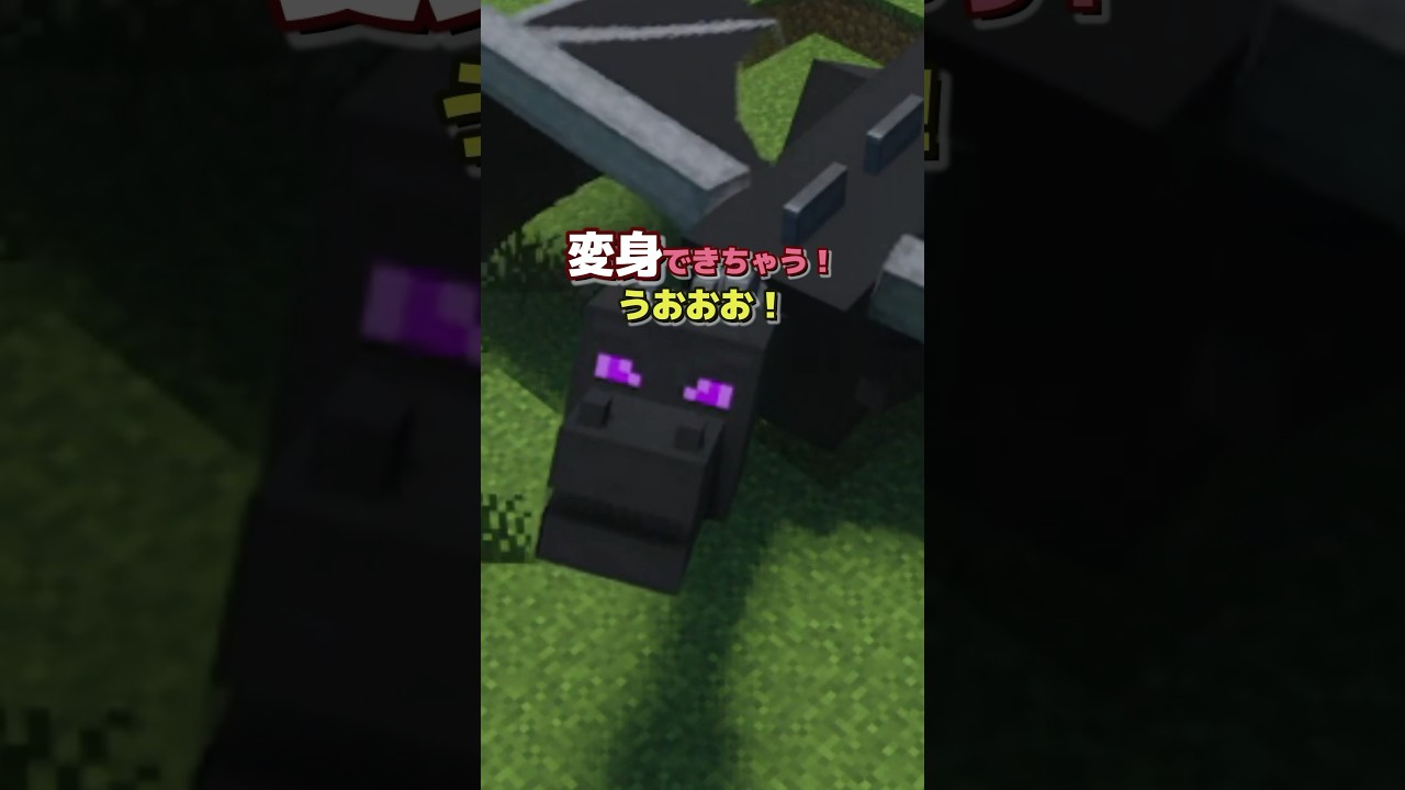 【アドオン紹介】今日から君がウォーデンだ！【統合版マイクラ】