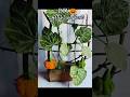 DIY pumpkin tree 🌱🍈#artificialplant #viralshorts #trending #viral#craft#shortsfeed #shortsviral