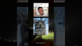 What The Hell #memes #funny #shorts