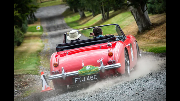 Scottish Malts 2025 Rally Highlights