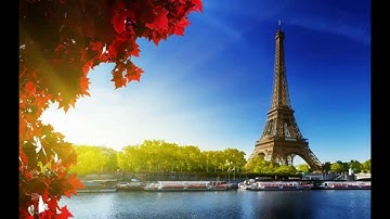 When did the eiffel tower open to the public (Google Doodle)