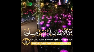 ستوريات انستا دينية//القارئ: رعد الكردي//حالات واتس اب دينية//بدون حقوق