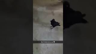Bing Bong
