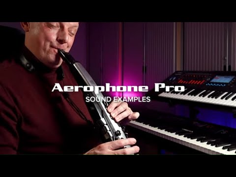 Roland AE-30 Aerophone Pro Digital Wind Instrument