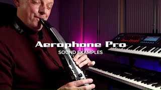 Sounds of the Roland Aerophone Pro, Performed by Alistair Parnell