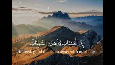 سورة هود الآية 114