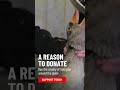 This is the reality behind foie gras 🪿