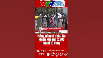 Nắng nóng ở châu Âu khiến khoảng 2.300 người tử vong | VTVWDB