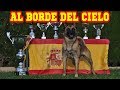 Un adiestrador español con su perro, al borde del cielo