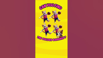 Basket Cats | Kids Games | Basket Fun 🐱🧺🏀👍📦 #basketball #kidsgames #playoffs #cuteanimals #funnycats