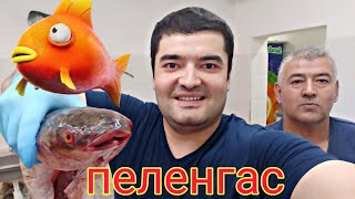 PELENGAS... Dengiz balig'ini O'zbekcha usulda pishiramiz...