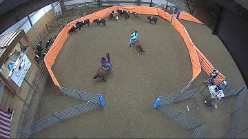 Big Sky Ranch Sorting Saddle Series #2 - #6 H/C - Round #2 - Ride #8