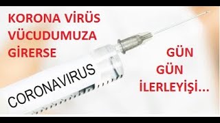 Korona Virus Insan Vücudundaki̇ Gün Gün Beli̇rti̇leri̇