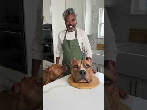 Dog prank 😂🤯😁#funny #pets #prank#shorts